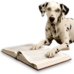 A Dalmatian dog with its front paws on top of an open book.