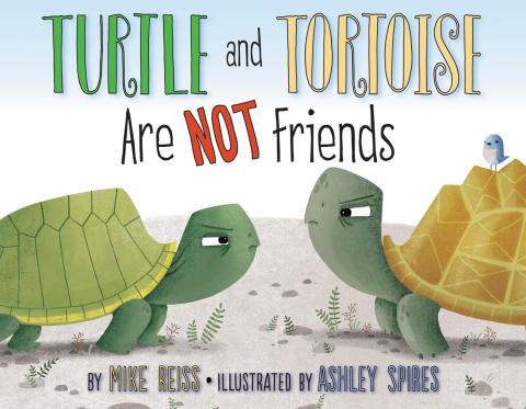 Turtle and Tortoise Are Not Friends Book Cover