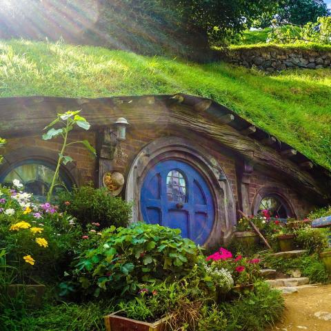 Image shows a hobbit-style house built into a grassy hillside. It has a round blue wooden door with a small round window in the center and two additional round windows on either side. The roof is covered with lush green grass. Surrounding the entrance are colorful flowers and plants, including yellow, white, pink and purple blooms, along with leafy greenery in pots and garden beds. Stone steps lead up to the door, and sunlight filters through the trees above.