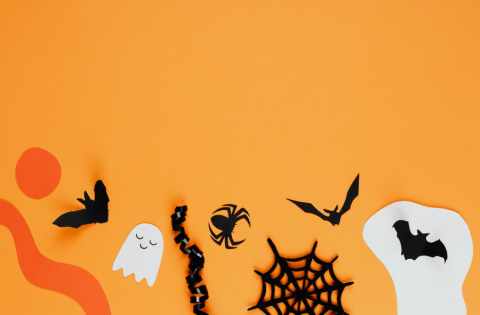 Image of Halloween decorations (three black bats, a white ghost, a black snake, a black spider, a black cobweb and two orange shapes with one white shape all on an orange background.