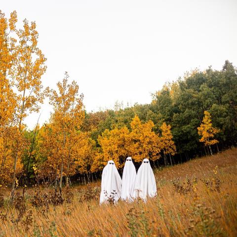 Three people dressed as ghosts wearing white sheets with black sunglasses. They are standing in the middle of a field with trees behind them with fall-colored leaves on them.