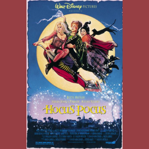 Movie poster for "Hocus Pocus." The illustration shows three witches flying on a broomstick and vacuum cleaner across the night sky in front of a glowing full moon. They wear colorful, elaborate costumes—one in green with red hair, one in purple with dark hair and one in pink with long blonde hair. Lightning and sparkles trail behind them.